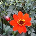 Picasa 2.7